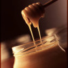 food_pos-126-pos-0126